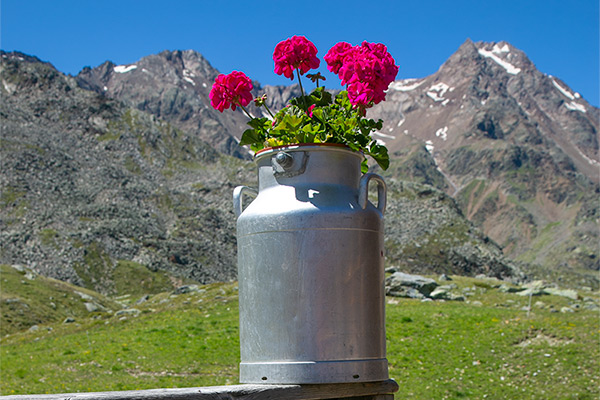 Sonnenterrasse Lazaunhütte